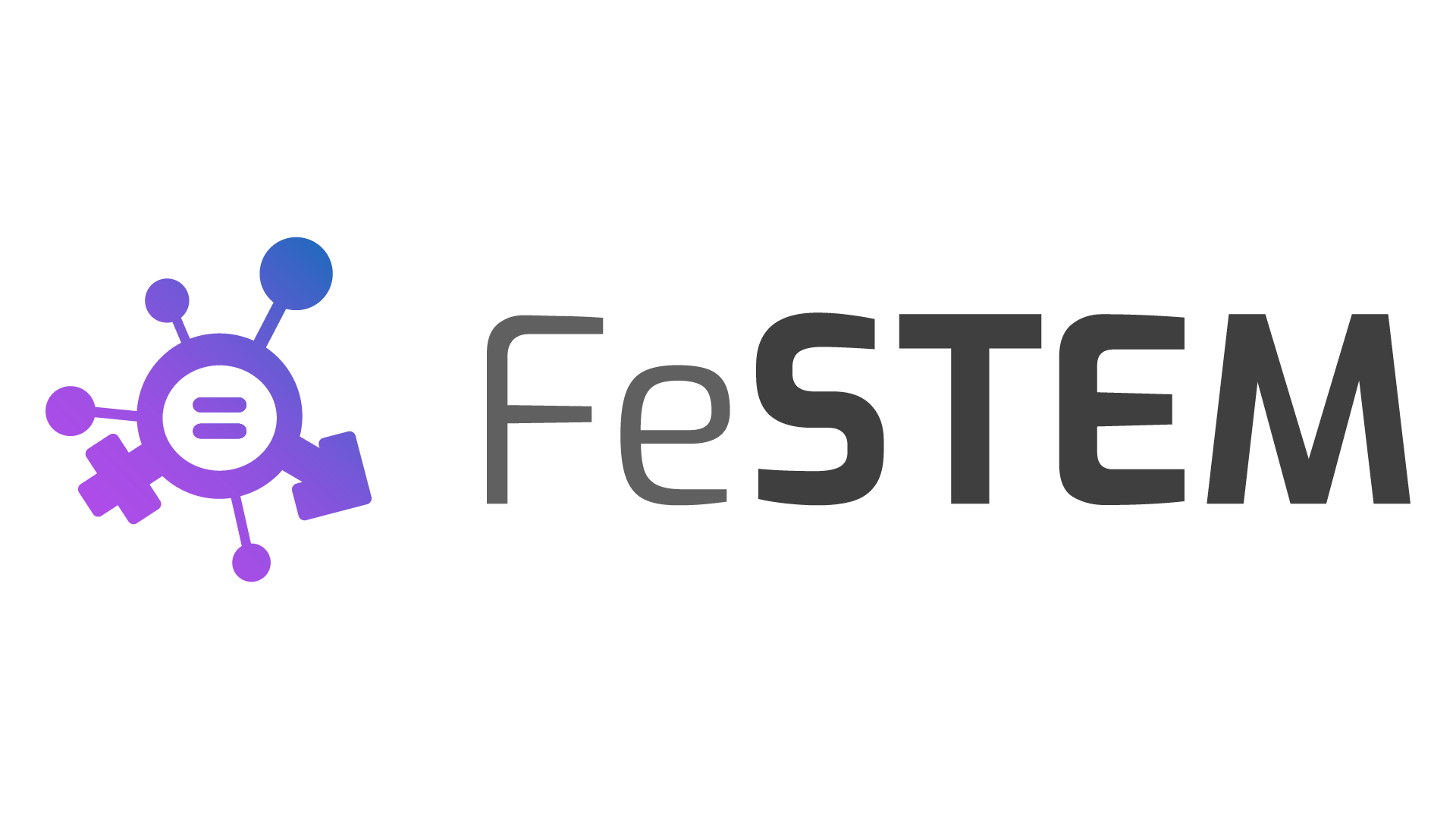 Logo-FeSTEM